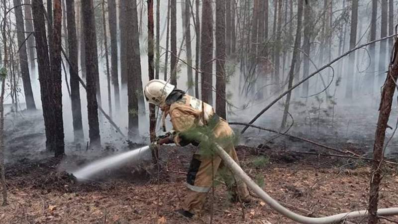 Видеокамеры и дымовые датчики установят во всех нацпарках и заповедниках