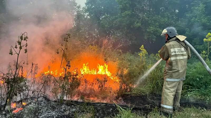 Пожар в Абайской области: руководство «Семей орманы» подозревается в нарушении безопасности, из-за чего погибли люди