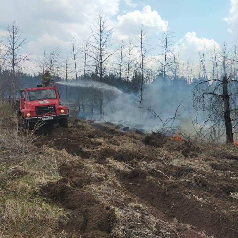 Лесной пожар в Абайской области локализован