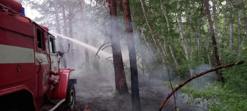 В пожарах в Абайской области погибли шесть человек