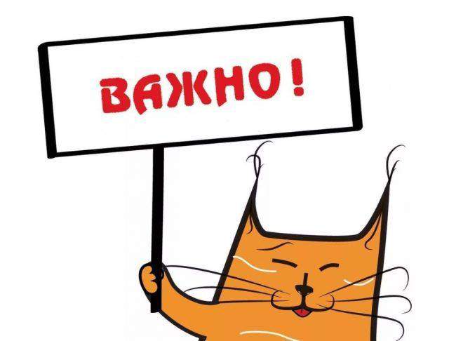 Сегодня объявят об отставках акимов