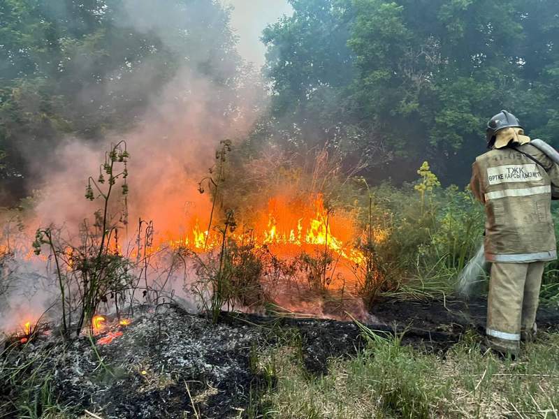 Пожар в Абайской области: ситуация стабилизировалась