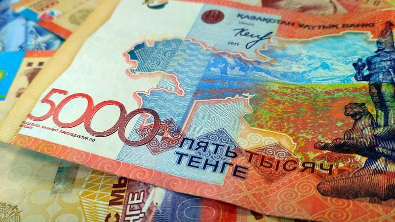Как и на что тратило деньги министерство экологии
