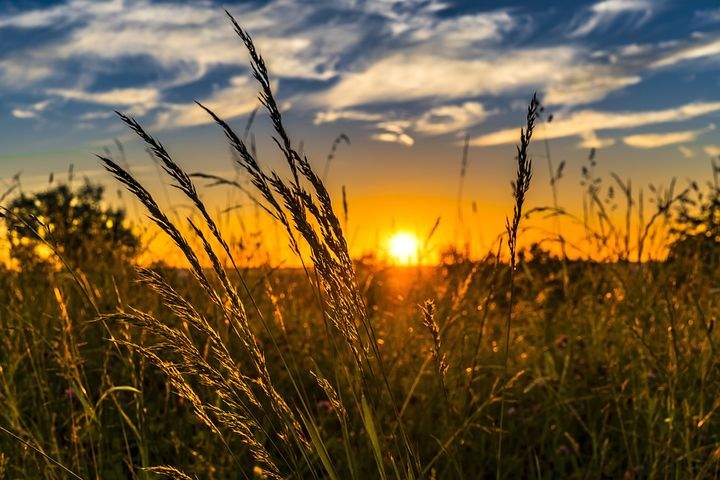 Развивать аулы будут старыми методами, но с новыми деньгами