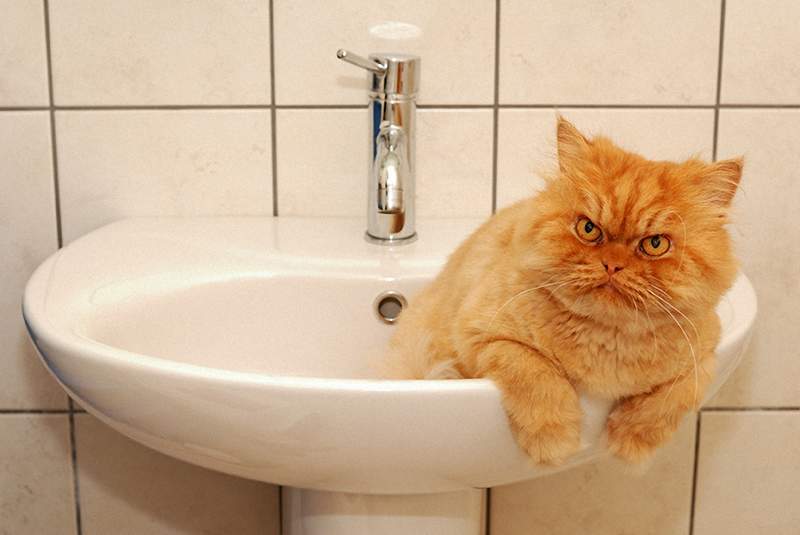 «Алматы Су» изменили график подачи и отключения воды жителям Медеуского района
