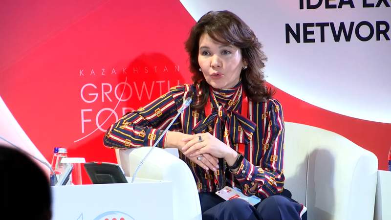 «Очень боюсь, что сейчас в мажилис придут блогеры и хайперы» – Шаяхметова о популизме