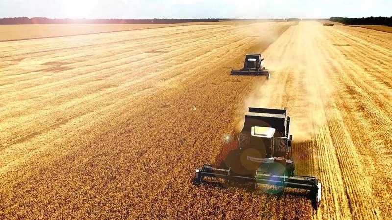 Почему прорыва в агросфере РК не случится объяснили эксперты