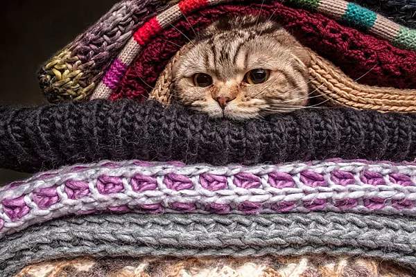В Алматы наконец-то стартует отопительный сезон