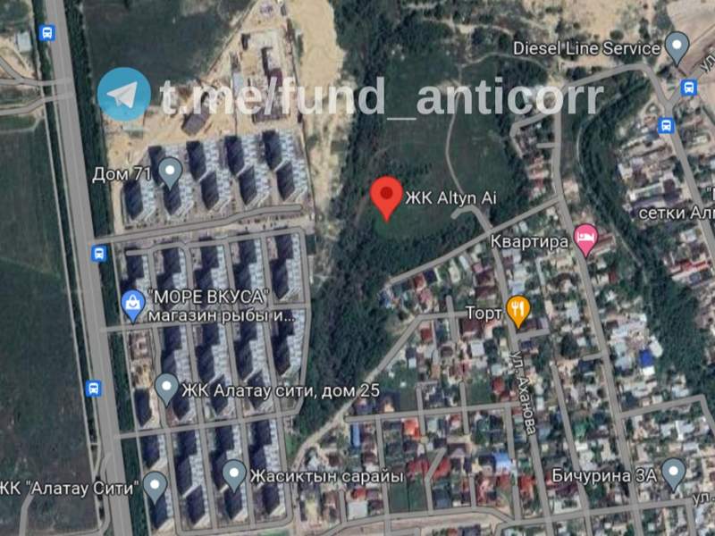 Строительство ЖК Qazaq Stroy на месте лесопосадки в Алматы: полиция расследует незаконную вырубку деревьев