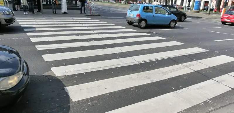 Уступи зебру автомобилю: МВД исключило скандальную поправку в ПДД