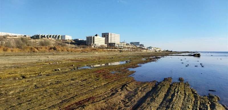 Падение уровня Каспийского моря будет исследовать Всемирный банк
