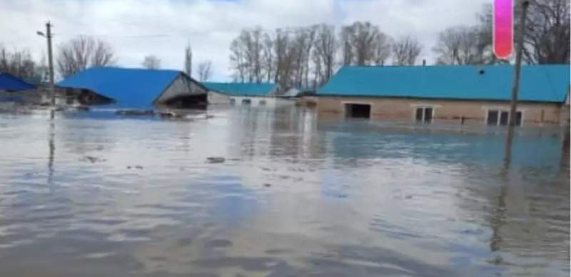 "Все на наших глазах ушло под воду". Автор, отправивший сыну голосовое сообщение о наводнении, дал интервью
