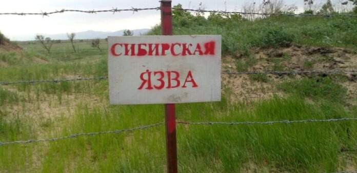 Более десятка могильников сибирской язвы вскрылись после наводнения в ЗКО