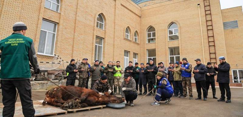 В Костанае в жертву принесли корову для защиты от наводнений