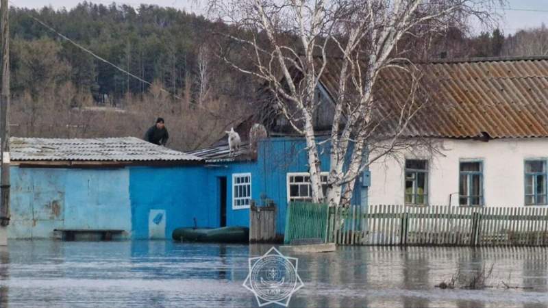 В каких случаях пострадавшим от паводков в Казахстане покупается новое жильё или ремонтируется старое