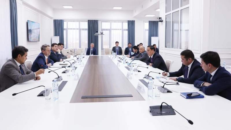 Казахстан и Франция строят ветроэлектростанцию в Жамбылской области: Ербол Карашукеев пообещал поддержку инвесторам