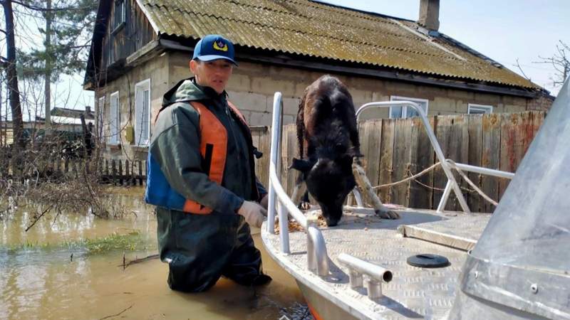 Паводки в Казахстане: вода начнёт уходить из СКО с 1 мая