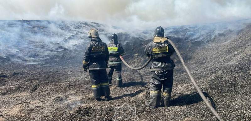 Природный пожар, вспыхнувший 26 апреля в "Семей орманы", потушили