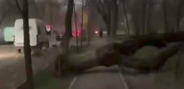 В Алматы и 15 областях объявлено штормовое предупреждение