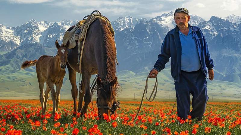 Фото дня: красота родной природы в объективе фотографа