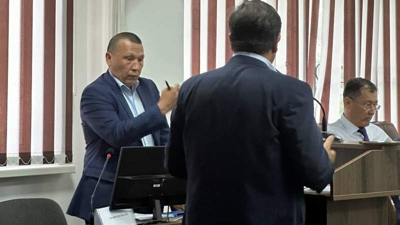 Суд над Гульмирой Сатыбалды: какие компании фигурируют в деле
