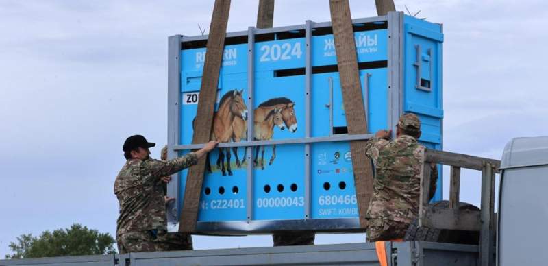 В Казахстан вновь привезли животных из Чехии