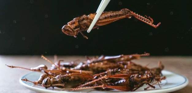 Великолепная белковая пища: вице-премьер высказался о нашествии саранчи