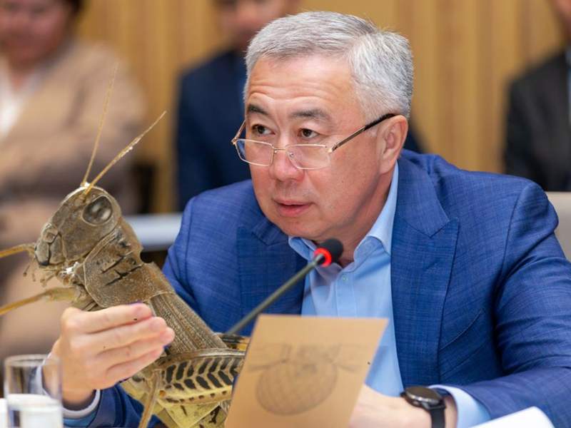 И поработали, и посмешили вас – Жумангарин подвёл итоги года и вспомнил нашествие саранчи