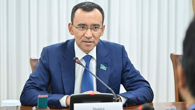 Поставщики на госзакупках выдают импортную продукцию за казахстанскую – Маулен Ашимбаев