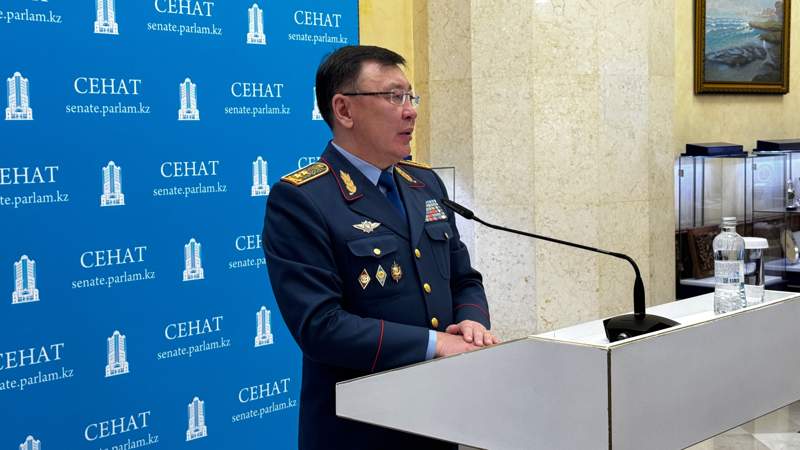 Торговля детьми в Казахстане: расследуется шесть уголовных дел