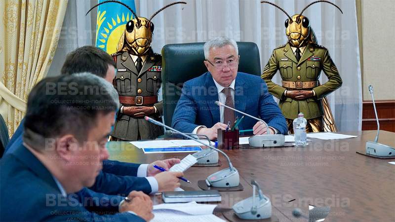 Серик Жумангарин позвонил вице-премьеру РФ Патрушеву по поводу саранчи
