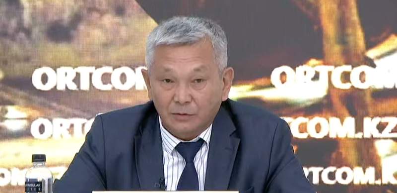 "Живём бок о бок с саранчой": глава госинспекции минсельхоза о нашествии насекомых в Казахстане