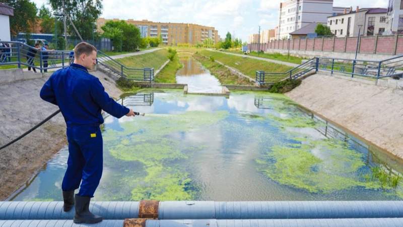 Экосистему ручья Сарыбулак в Астане восстановят с помощью науки