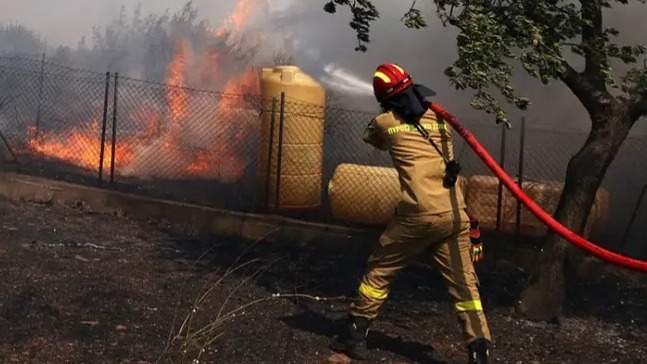 Пожар в лесу Греции: казахстанский олигарх вне подозрений