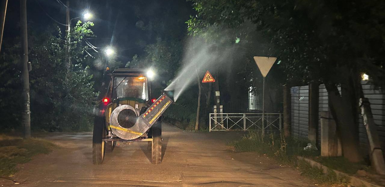 С 23.00 до 05.00 утра в Алматы проводится обработка деревьев от вредителей