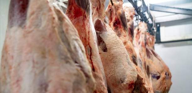 ЕЭК установила импортные квоты на мясо и молочную продукцию на 2025 год для Казахстана