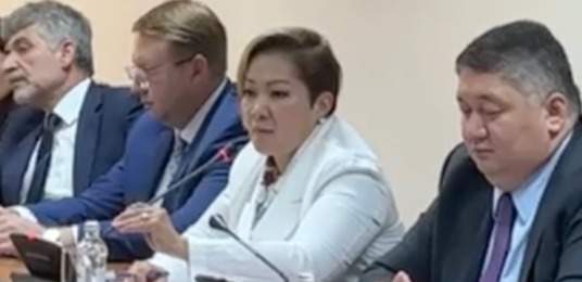 Почему зарубежные авиакомпании не могут запускать рейсы по Казахстану? Ответ КГА