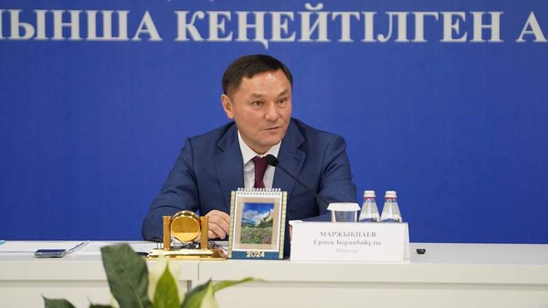 Второй раз подряд без золотых медалей – министр спорта прокомментировал выступление боксёров на Играх в Париже