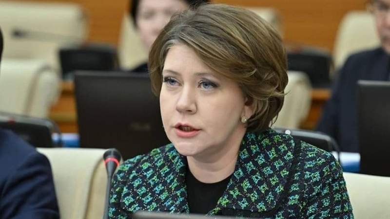Проект Налогового кодекса в текущей редакции поступил в мажилис – депутат Савельева