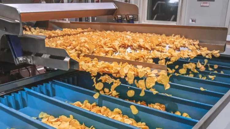 Завод чипсов Lay’s в Алматинской области: какие привилегии предоставили PepsiCo