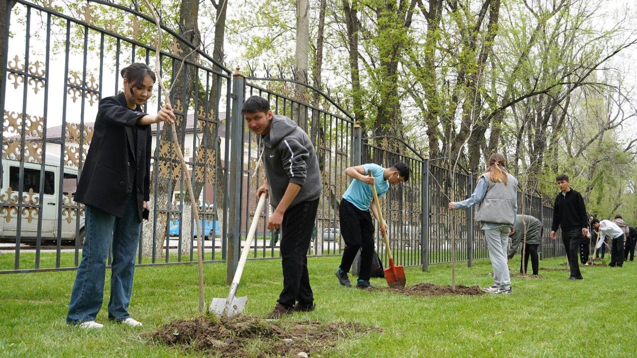 60 тысяч деревьев высадили в Жамбылской области по программе "Таза Қазақстан"
