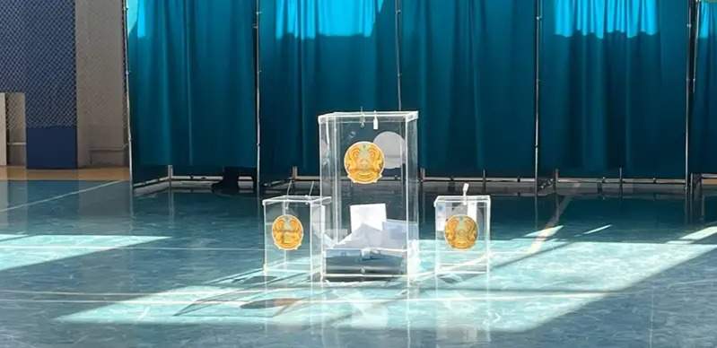Результаты exit poll Института евразийской интеграции. Статья удалена