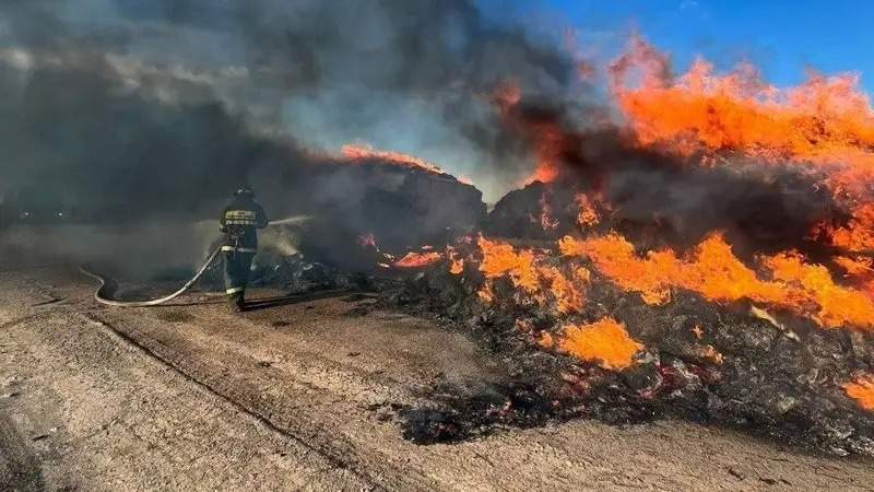 Пожар в Карагандинской области: горит 35 тысяч гектаров степи