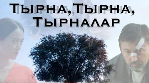 На бюджетные деньги сняли фильмы, которые не вышли в прокат: кого наказали