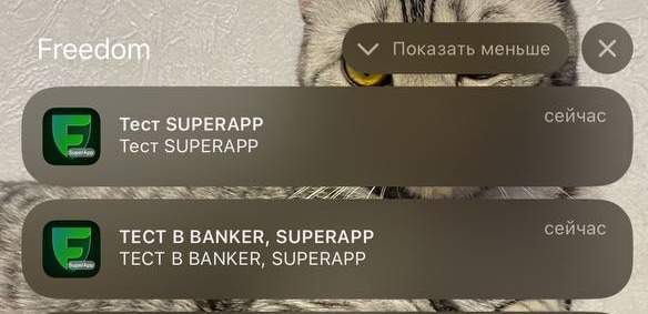 Банковское приложение Freedom сломалось