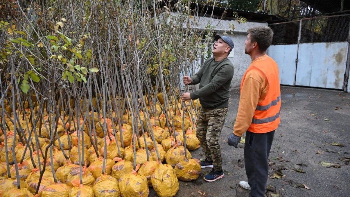  В Алматы стартовала кампания "Жарқын күз"