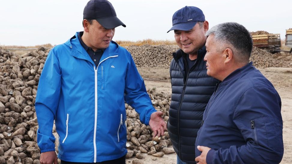Ербол Карашукеев ознакомился с ходом уборки сахарной свёклы