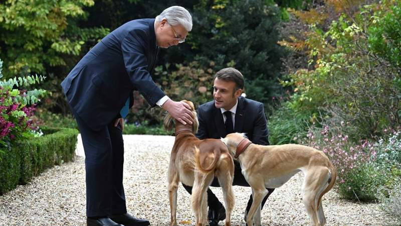 Токаев и Макрон прогулялись с казахскими тазы у Елисейского дворца