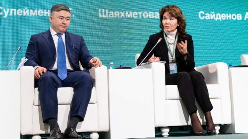 "Банкам помогать не надо, просто надо не мешать" – Умут Шаяхметова о регулировании финсектора в Казахстане