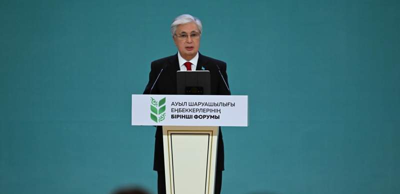 Токаев усомнился в необходимости четвёртого этапа декларирования